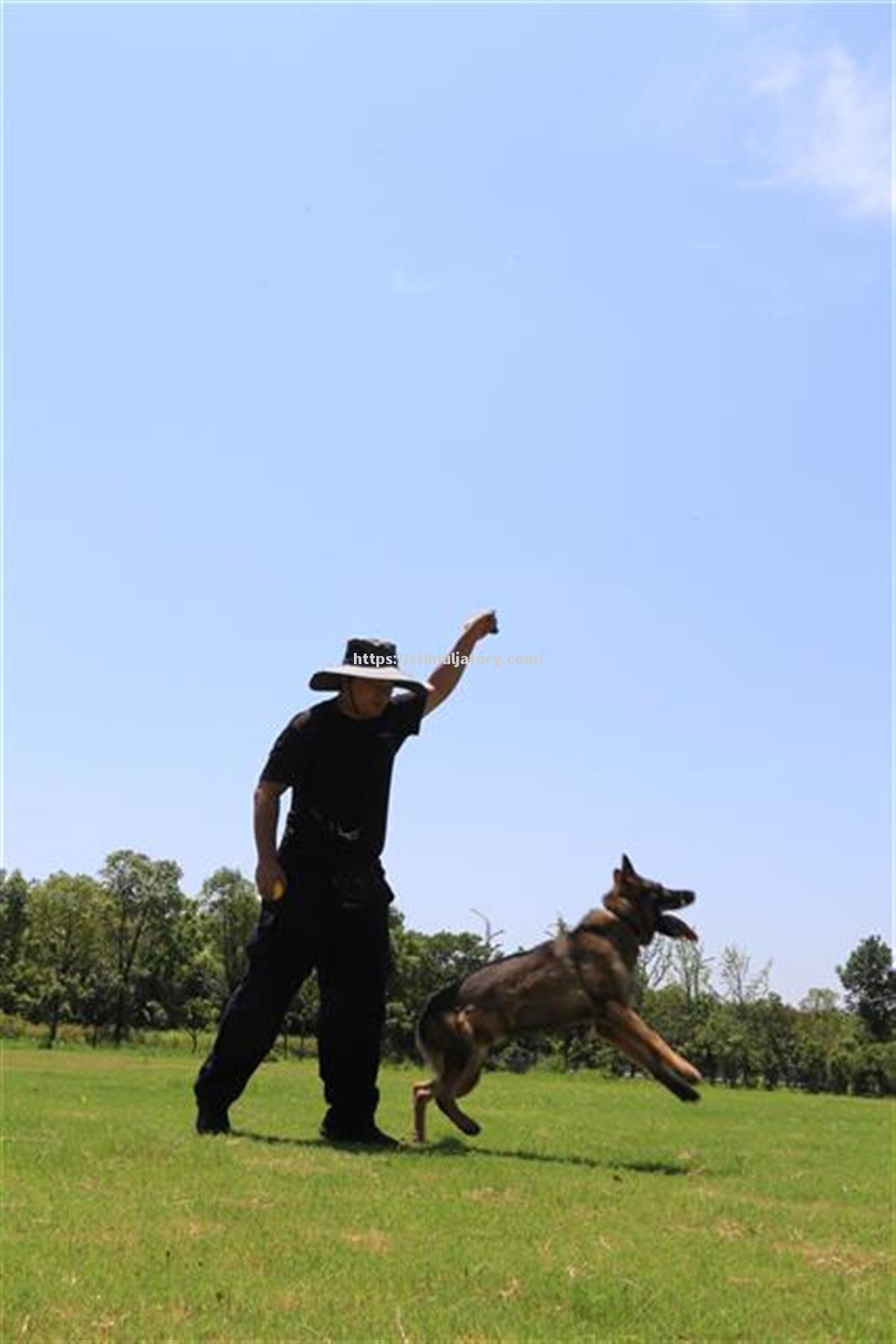 星空体育-训练不懈,准备迎接磨难考验