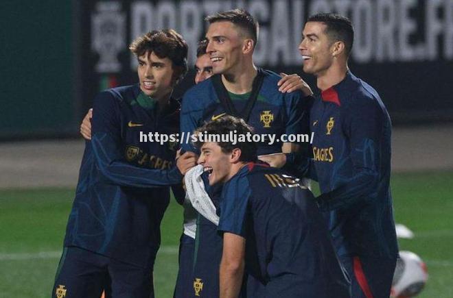 星空体育-欧预赛葡萄牙险胜瑞典,晋级形势严峻