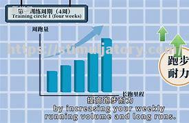 星空体育-南安普顿主场失守，提升防线积极备战下一场比赛
