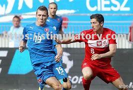 星空体育-斯洛伐克选手突飞猛进，制霸竞技场