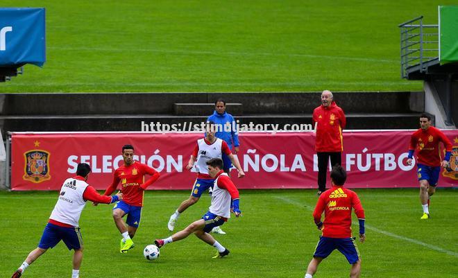 星空体育-塞尔维亚队不敌葡萄牙,遭遇淘汰听牛