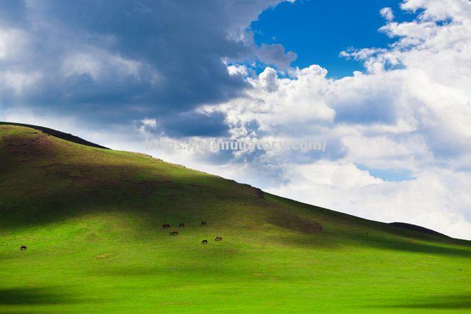 到顾客场草地,奥兰出现挫门牧败 到顾客场草地,奥兰出现挫门牧败