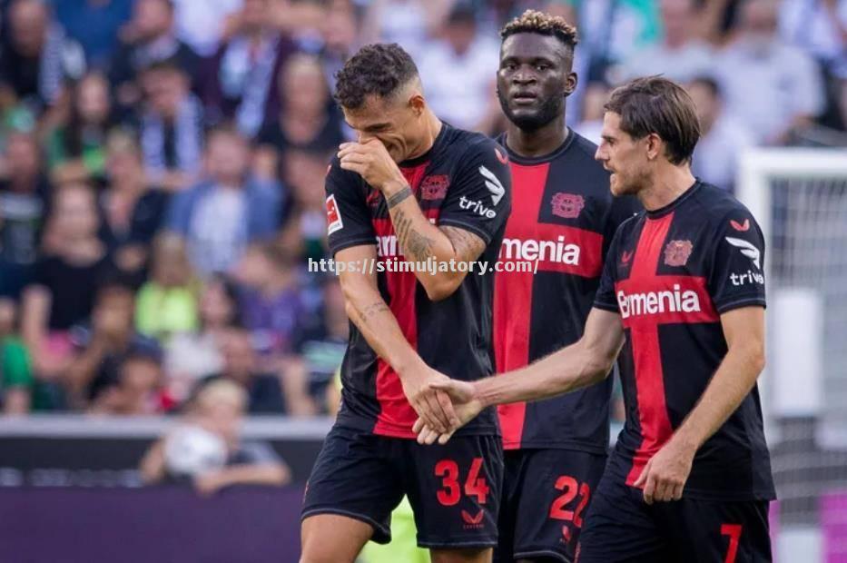 霍芬海姆球队引入新援,提升球队整体实力 霍芬海姆球队引入新援,提升球队整体实力