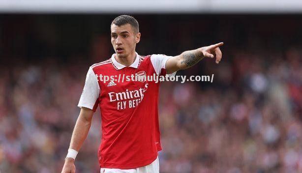 阿森纳新秀崭露头角,助球队拿下宝贵胜利 阿森纳新秀崭露头角,助球队拿下宝贵胜利