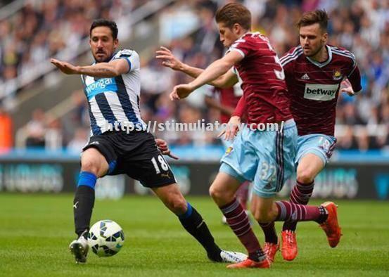 纽卡斯尔连战不胜,保级形势堪忧 纽卡斯尔连战不胜,保级形势堪忧