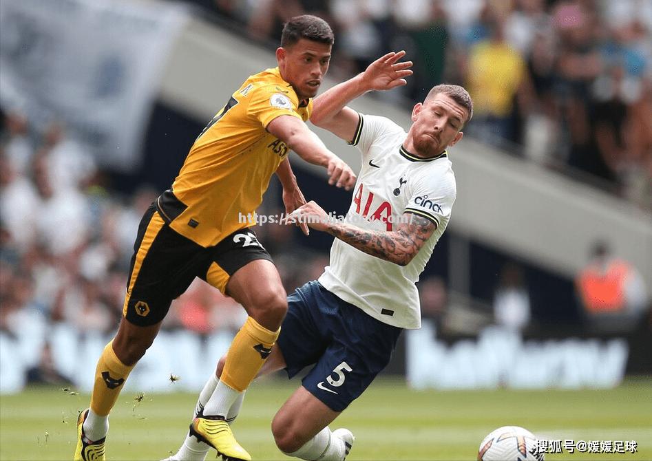 狼队主场胜出,保持胜势稳定 狼队主场胜出,保持胜势稳定