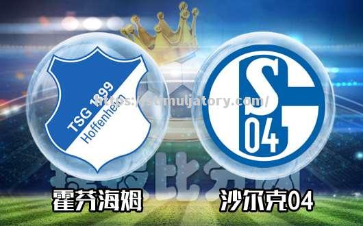 霍芬海姆防守漏洞频现,遭遇连败危机 霍芬海姆防守漏洞频现,遭遇连败危机