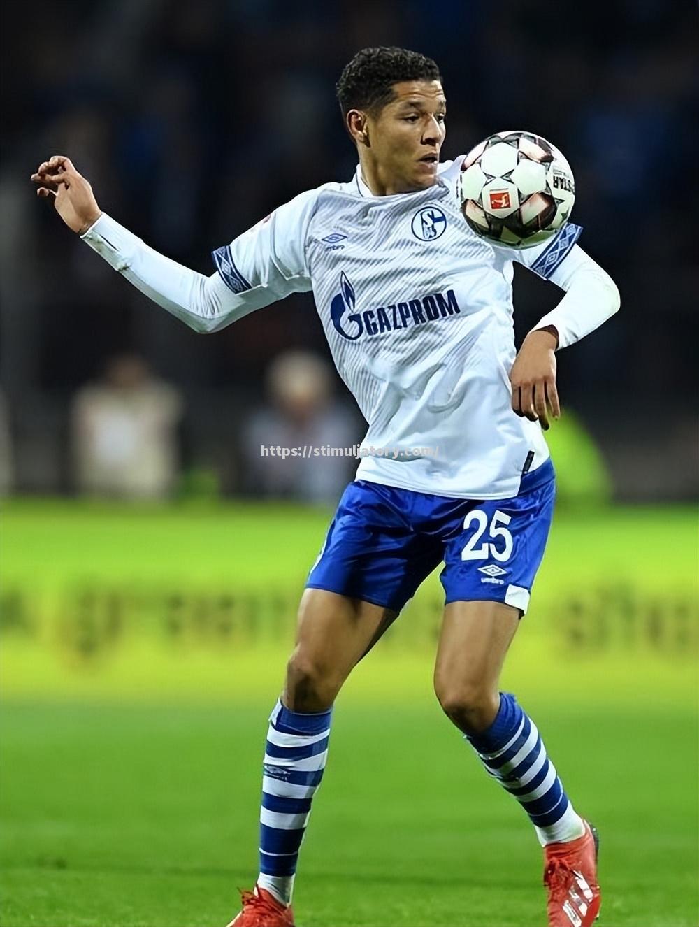 星空体育-沙尔克连败加剧保级风险,德国足球联赛保级形势岌岌可危