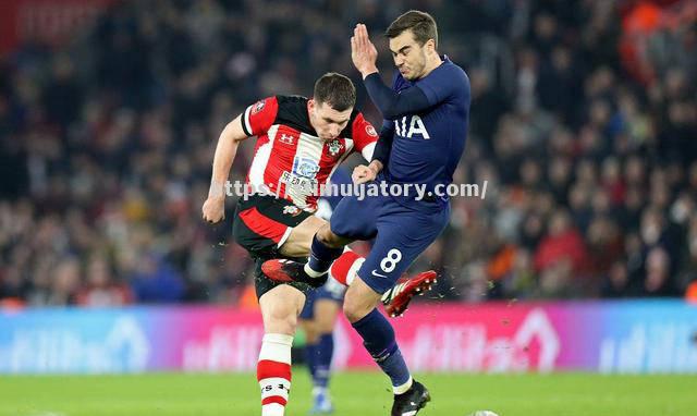 南安普顿不敌对手，保级希望受挫